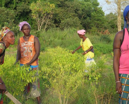 mujeres, pobreza, senegal