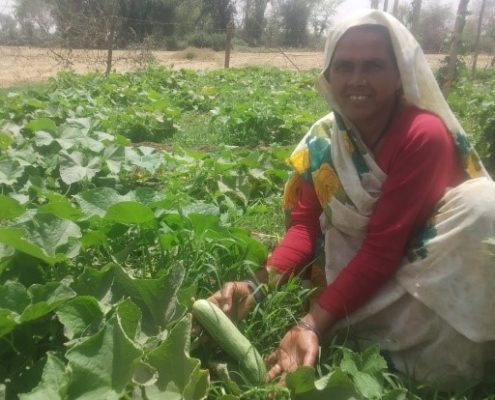agricultoras indias