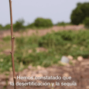 la desertificación y la sequía