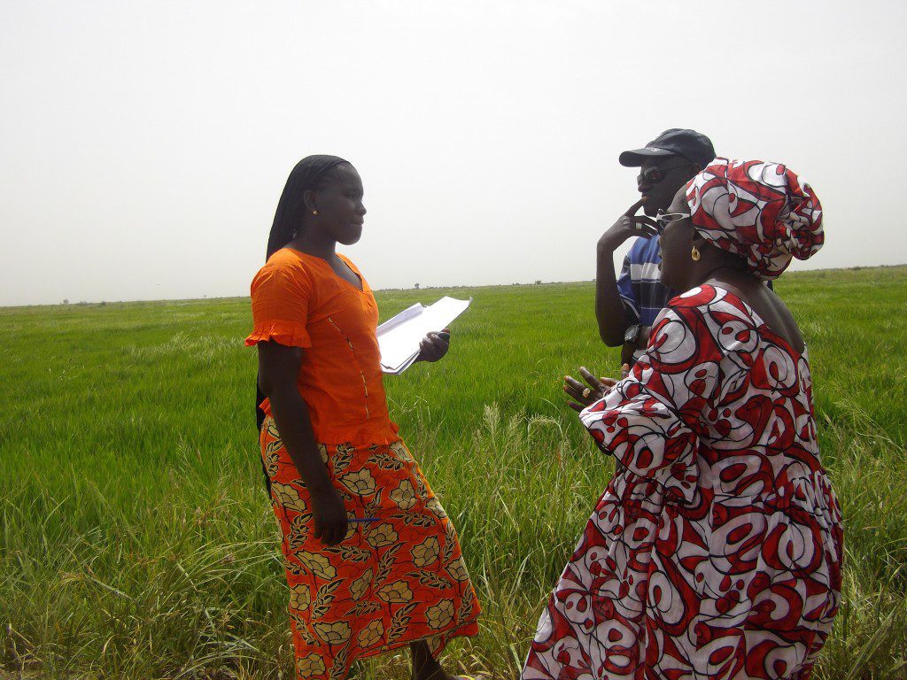 alianzaporlasolidaridad_desarrollolocal_senegal_tierras