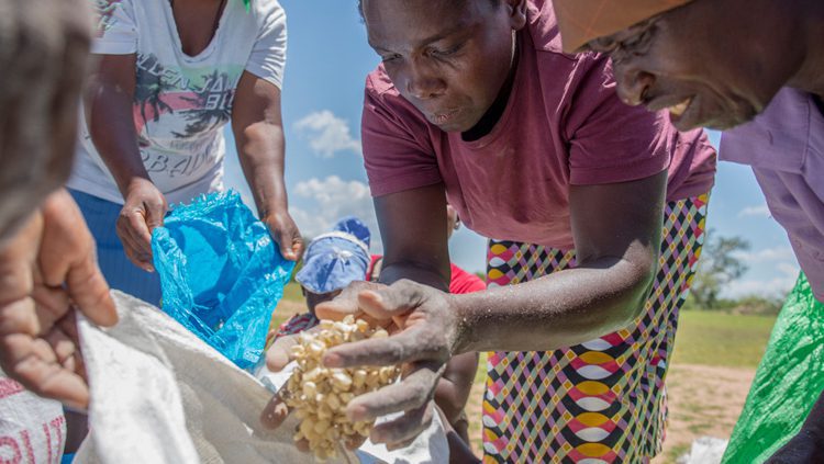 siempre quisiste saber