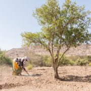 futuro del planeta agricultura El futuro del planeta
