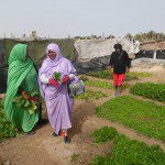 hambre y cambio climático