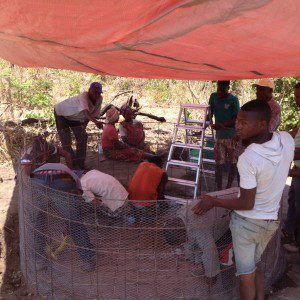 d6cd9ea0-2f1b-4303-96fb-4a1d577f379f