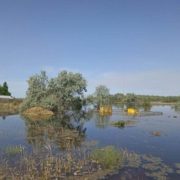 explosión de la presa