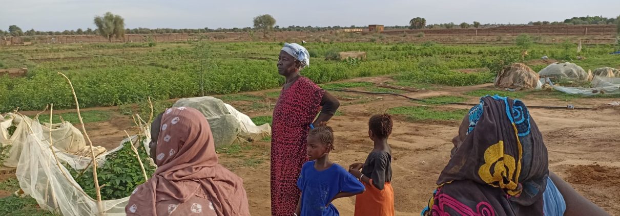 mujeres mauritanas en la huerta Nerewalo