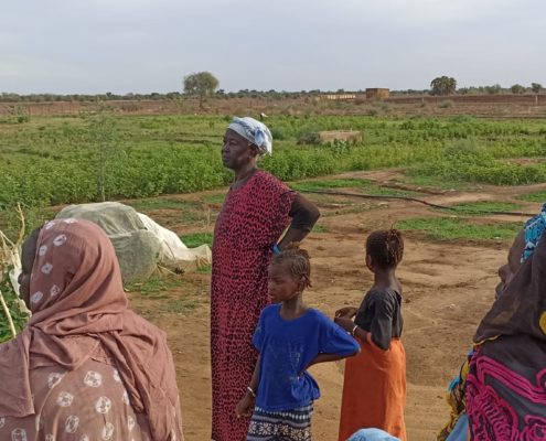 mujeres mauritanas en la huerta Nerewalo
