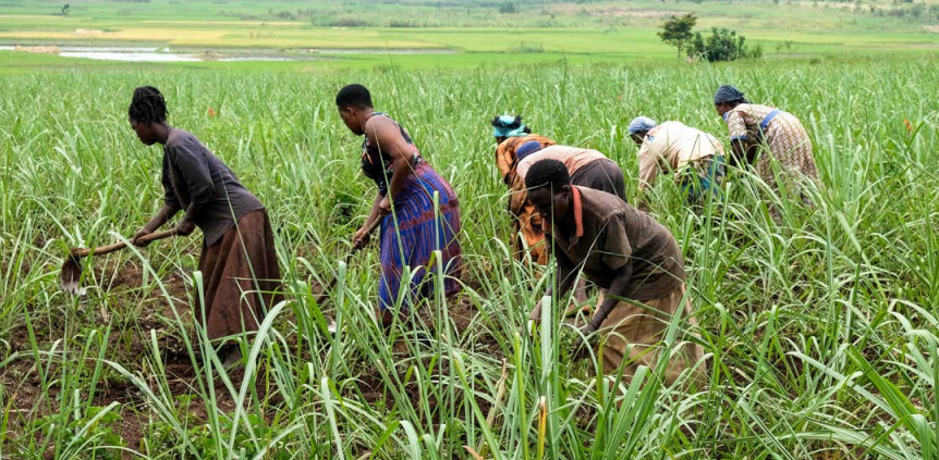 derechos de las mujeres y empresas