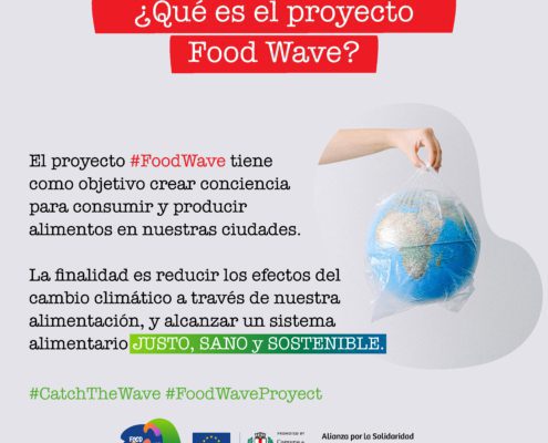 alimentacion sostenible Dalia 7